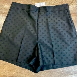 NEW! Ann Taylor Side Zip Shorts